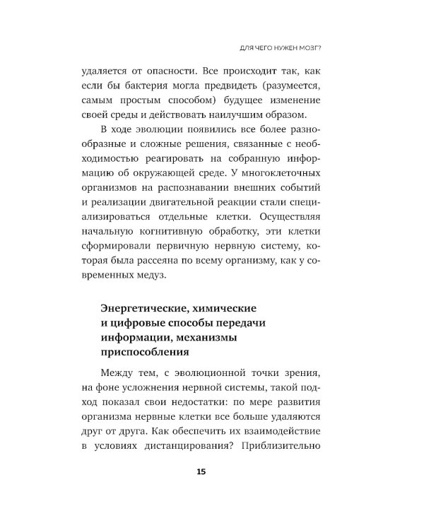 Достижения мозга. Как этот орган стал самой сложной и влиятельной частью тела человека