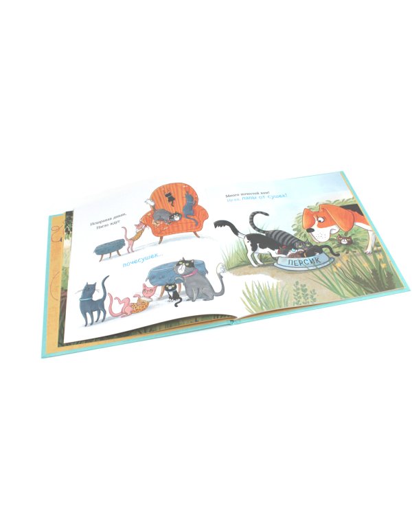 Слишком много котов