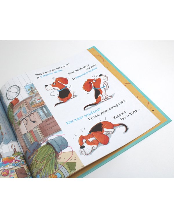 Слишком много котов