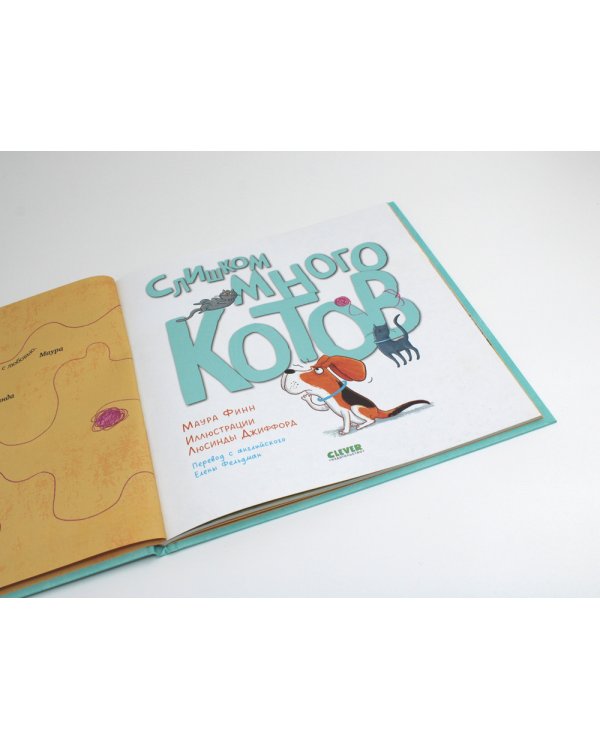 Слишком много котов