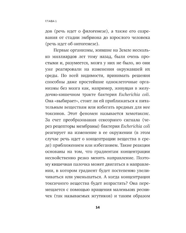 Достижения мозга. Как этот орган стал самой сложной и влиятельной частью тела человека