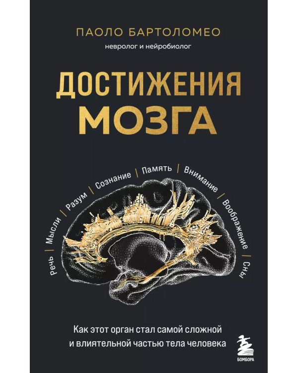 Достижения мозга. Как этот орган стал самой сложной и влиятельной частью тела человека