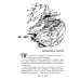 Ночь в поезде на Серебряной реке. 2-е изд