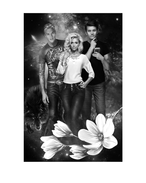 Край черных магнолий