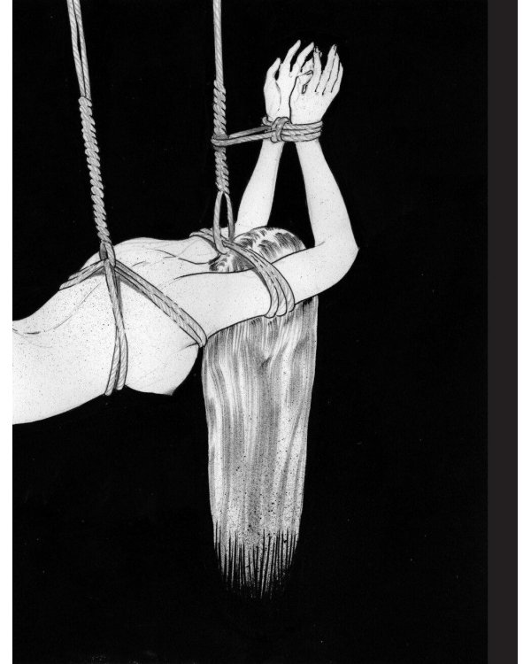 Шибари: Артбук