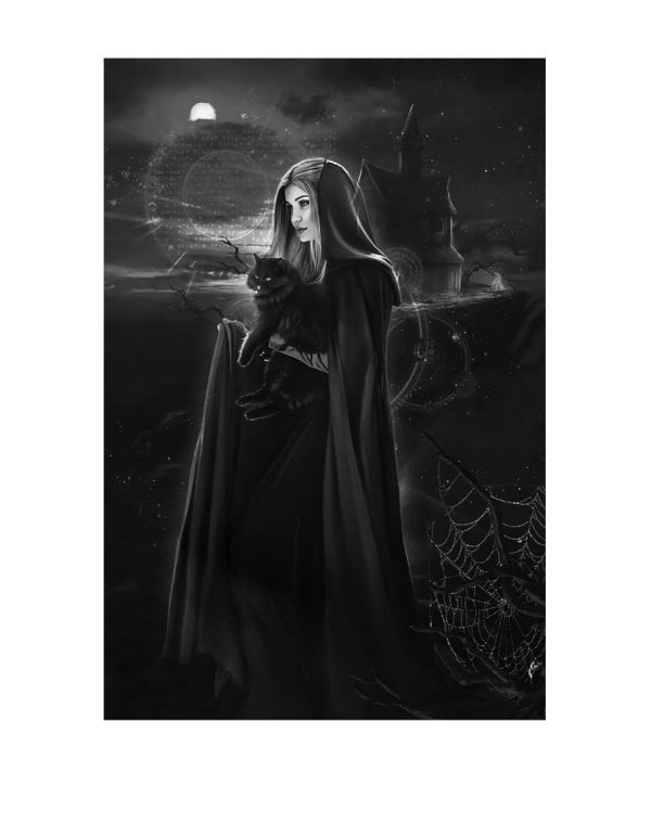 Край черных магнолий