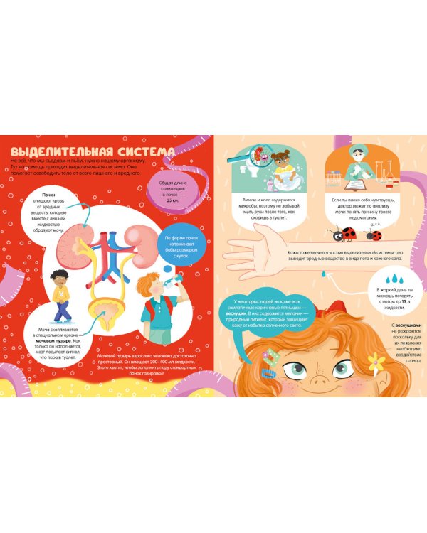 100 удивительных фактов о теле человека