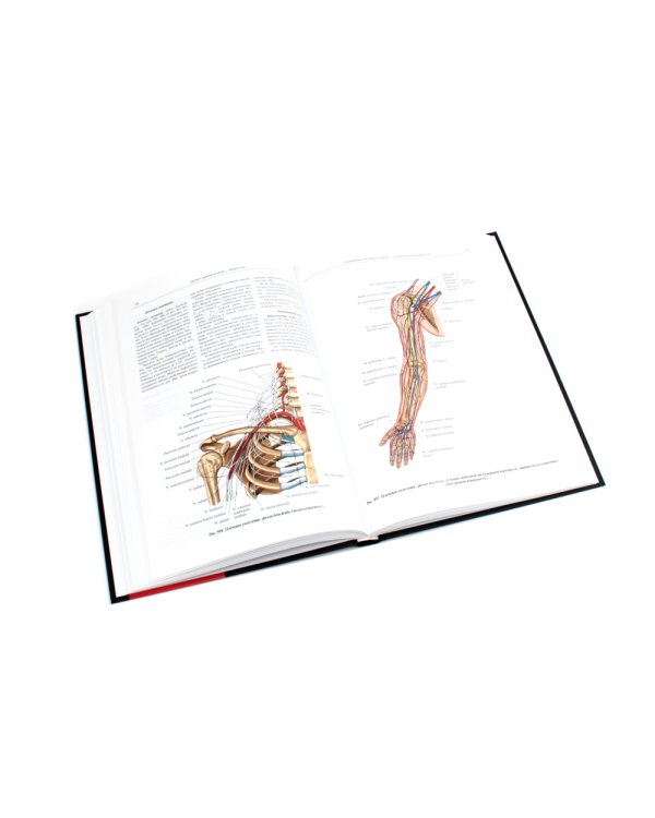 Атлас анатомии человека. В 3 т. Т. 3: Неврология. Эстезиология: Учебное пособие. 7-е изд., перераб