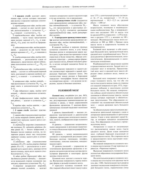 Атлас анатомии человека. В 3 т. Т. 3: Неврология. Эстезиология: Учебное пособие. 7-е изд., перераб