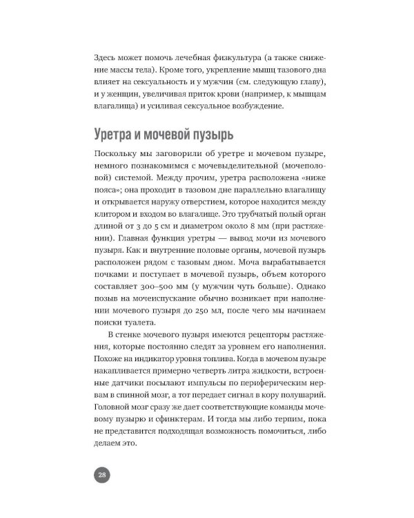 Ниже пояса: Открыто о прикрытом
