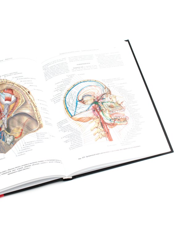 Атлас анатомии человека. В 3 т. Т. 3: Неврология. Эстезиология: Учебное пособие. 7-е изд., перераб