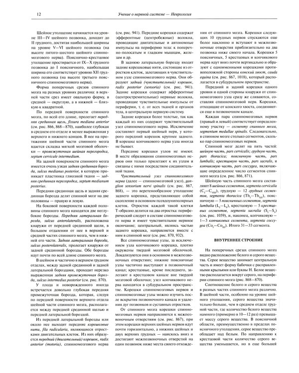 Атлас анатомии человека. В 3 т. Т. 3: Неврология. Эстезиология: Учебное пособие. 7-е изд., перераб