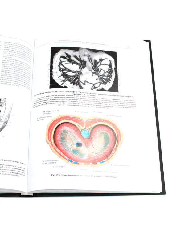 Атлас анатомии человека. В 3 т. Т. 3: Неврология. Эстезиология: Учебное пособие. 7-е изд., перераб