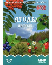 Мир в картинках. Ягоды лесные. Наглядно-дидактическое пособие