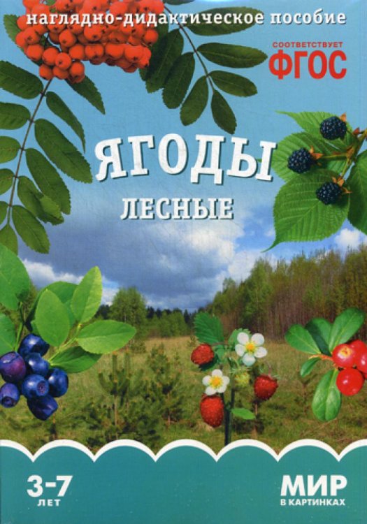 Мир в картинках Мир в картинках. Ягоды лесные. Наглядно-дидактическое пособие