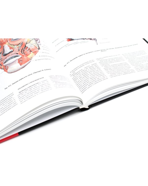 Атлас анатомии человека. В 3 т. Т. 3: Неврология. Эстезиология: Учебное пособие. 7-е изд., перераб