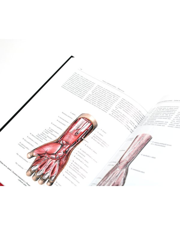 Атлас анатомии человека. В 3 т. Т. 3: Неврология. Эстезиология: Учебное пособие. 7-е изд., перераб