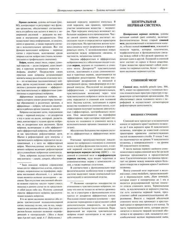 Атлас анатомии человека. В 3 т. Т. 3: Неврология. Эстезиология: Учебное пособие. 7-е изд., перераб