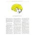 Атлас анатомии человека. В 3 т. Т. 3: Неврология. Эстезиология: Учебное пособие. 7-е изд., перераб