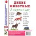 Дикие животные в картинках. Наглядное пособие для педагогов, логопедов, воспитателей и родителей