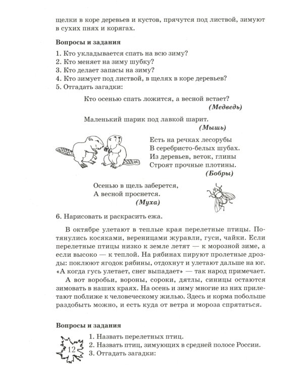 Какие месяцы в году?! Знакомство с окружающим миром, развитие речи