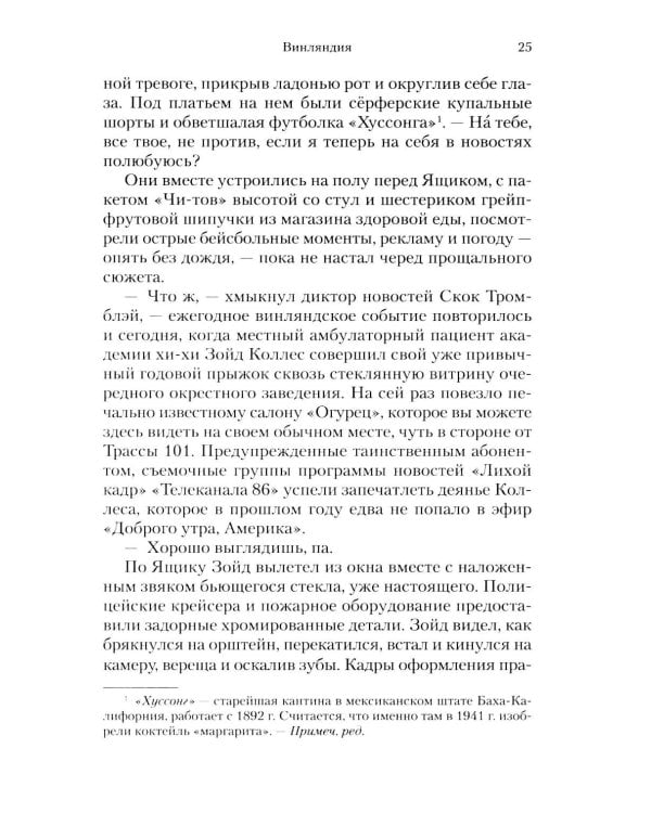 Винляндия: роман