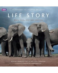 Life Story: Many Lives, One Epic Journey