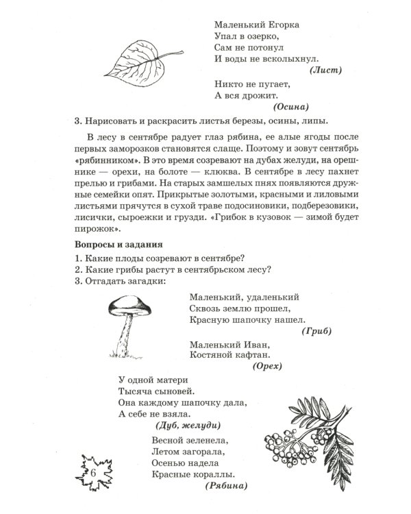 Какие месяцы в году?! Знакомство с окружающим миром, развитие речи