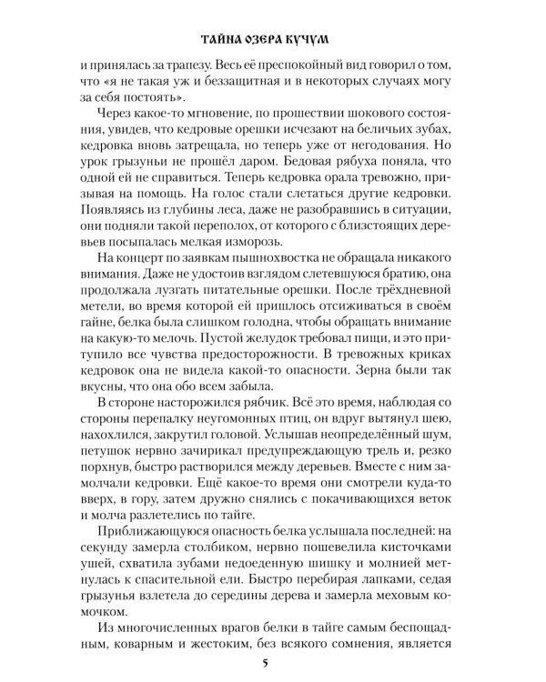 Тайна озера Кучум: роман