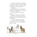 Дополнительное изображение книги «Конни и спасение диких лошадей»