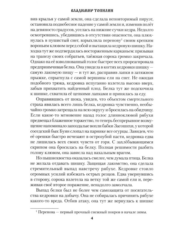 Тайна озера Кучум: роман