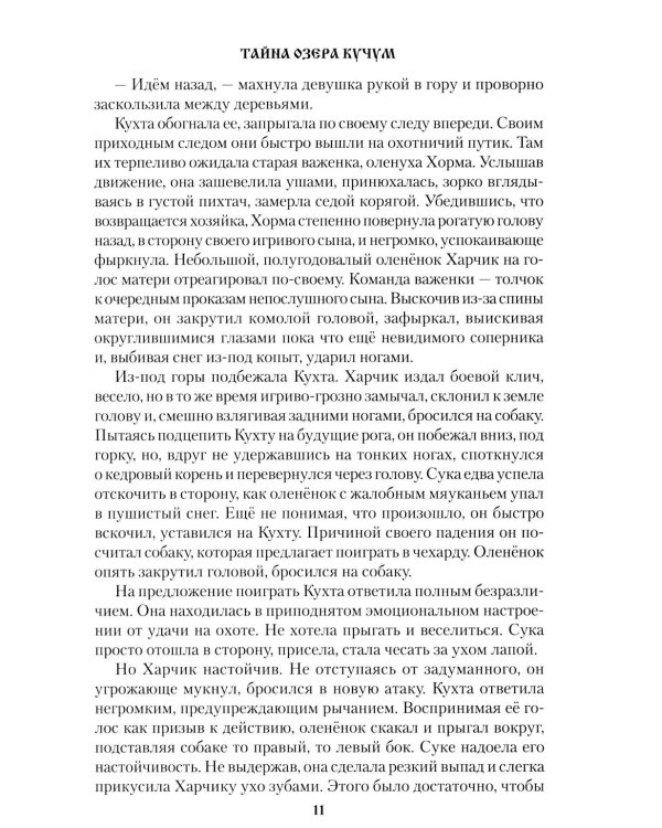 Тайна озера Кучум: роман