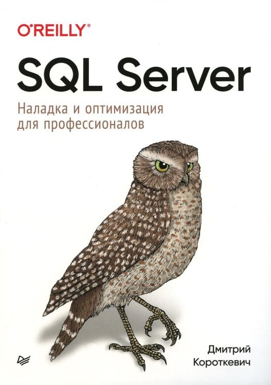 SQL Server. Наладка и оптимизация для профессионалов