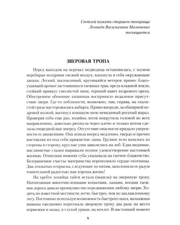 Серебряный пояс: роман