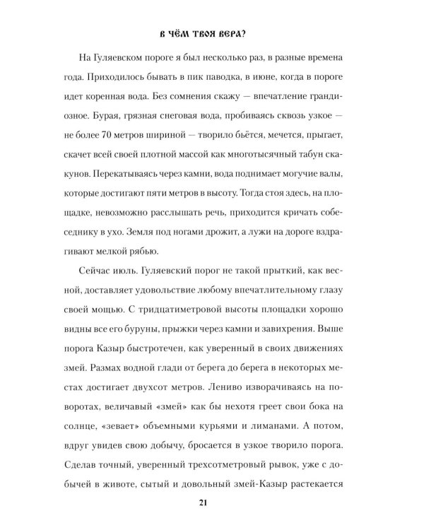 В чем твоя вера?: роман