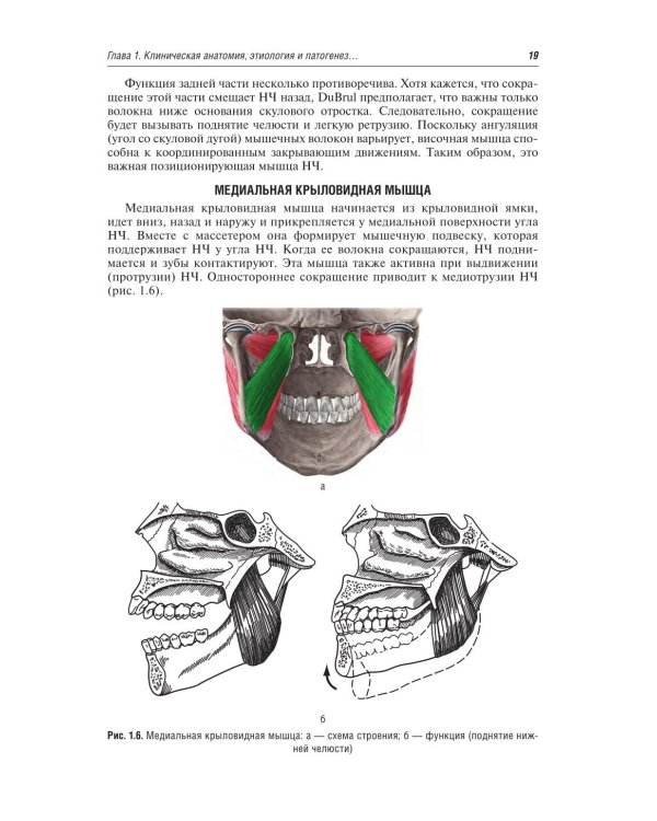 Заболевания височно-нижнечелюстного сустава
