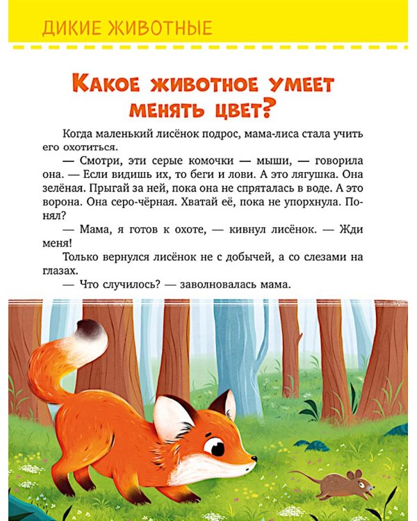 Обо всем на свете