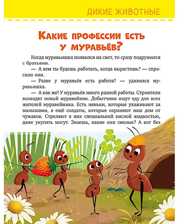 Обо всем на свете
