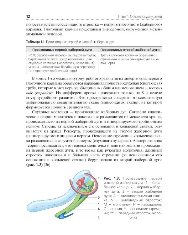 Скрининг слуха у несовершеннолетних: Учебное пособие