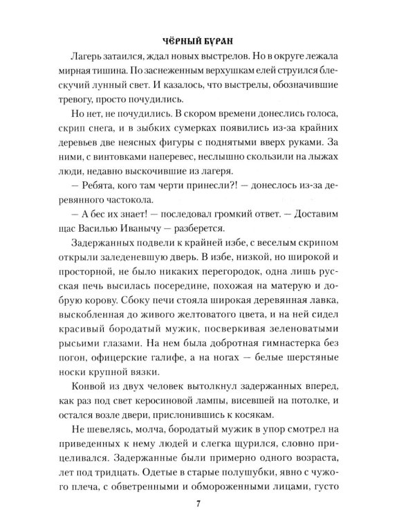 Черный буран: роман