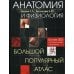 Анатомия и физиология. Большой популярный атлас