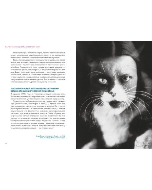 Бестиарий. Животные в ритуалах, искусстве и фольклоре