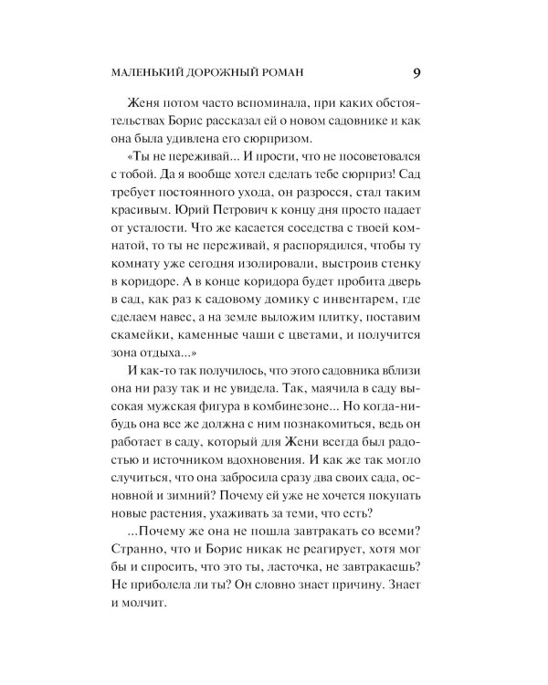 Маленький дорожный роман: роман