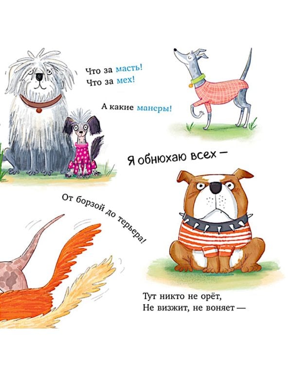 Слишком много собак