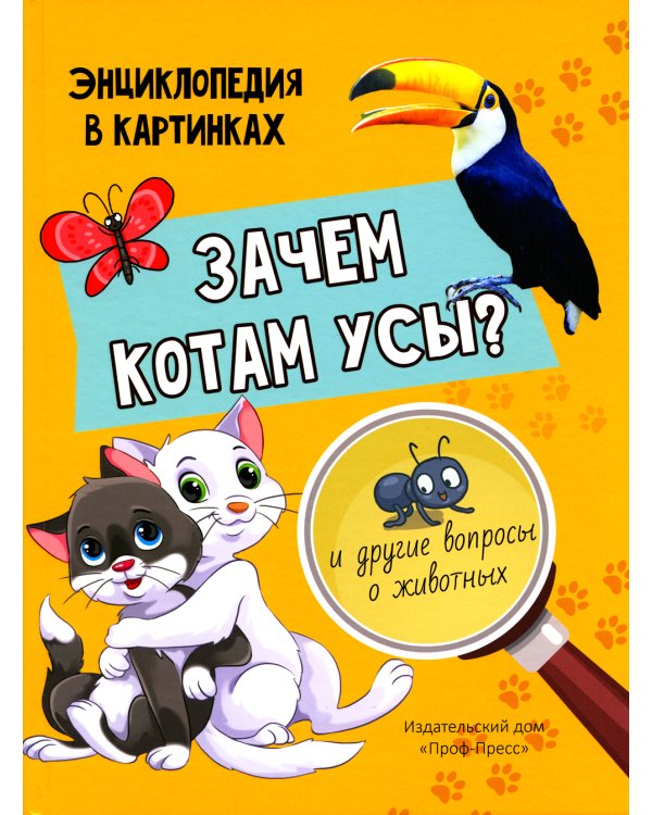 Зачем котам усы?