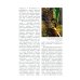 Дополнительное изображение книги «Стрекозы Сибири: Иллюстрированный атлас-определитель»