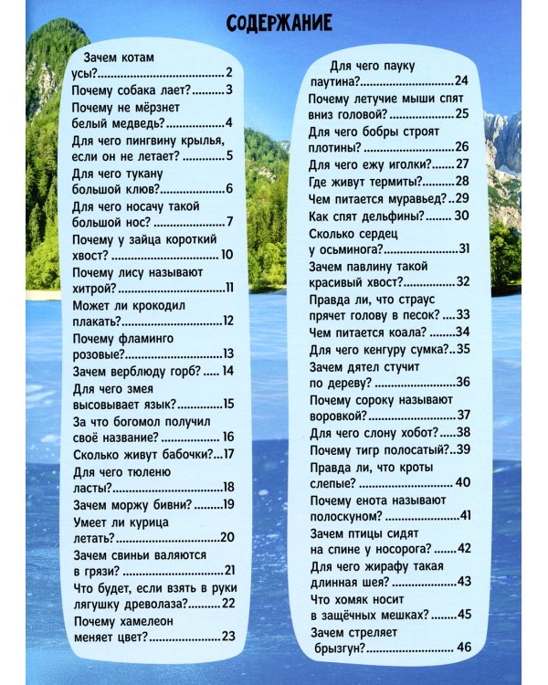 Зачем котам усы?
