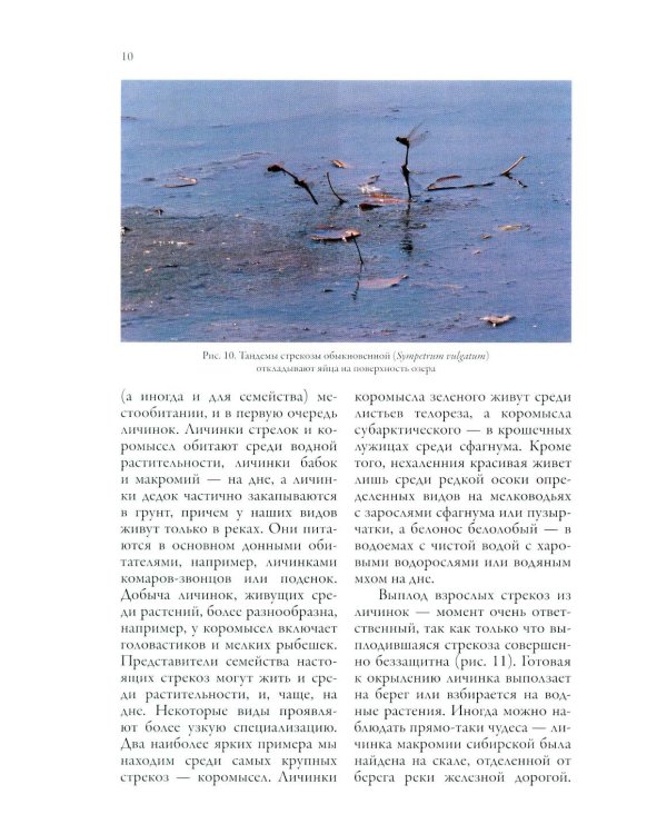 Дополнительное изображение книги «Стрекозы Сибири: Иллюстрированный атлас-определитель»
