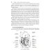 Основы первой помощи: курс лекций Основы первой помощи: курс лекций