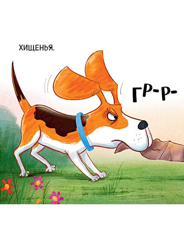 Слишком много собак